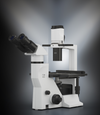 Labomed TCM 400 Inverted Phase Series Microscopes (#7125000, 7125500)