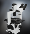 Labomed TCM 400 Inverted Phase Series Microscopes (#7125000, 7125500)