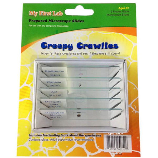 Creepy Crawlies Prepared Microscope Slide Set