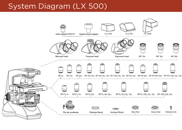 Labomed Lx500 Binocular Series (#9144600, 9144700 9144800) - Benz Microscope Optics Center