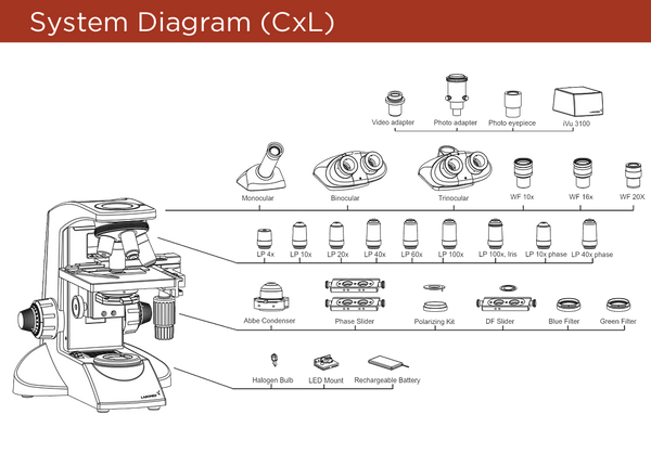 System specifications diagram for Labomed CxL Microscopes.