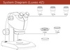 System Diagram specification of the Labomed Luxeo 4Z. Smooth focus control and a fluid 4.4:1 Greenough zoom system guarantee strain free operation with minimal ware and tare to gears, all of which are made of high-strength steels.