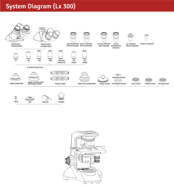 Labomed Lx300 Series (#9136001, 9136003) - Benz Microscope Optics Center