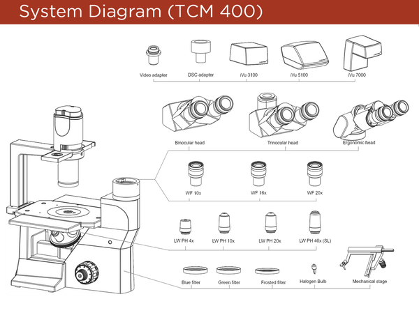 Labomed TCM 400 Inverted Phase Series (#7125000, 7125500) - Benz Microscope Optics Center